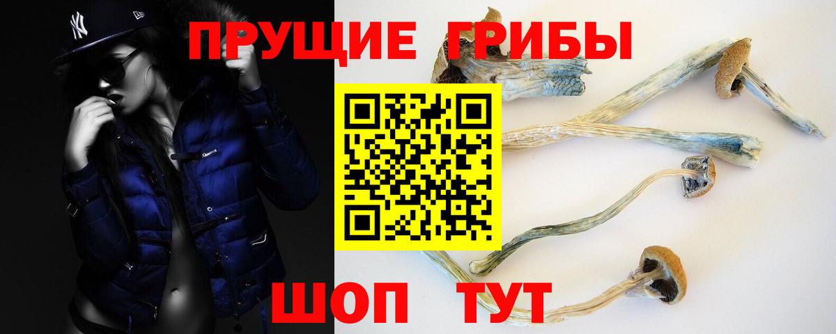 Псилоцибиновые грибы Psilocybe  Вход с VPN  Канск 
