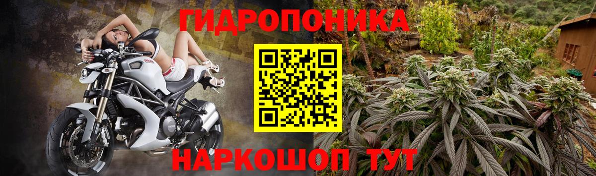 Каннабис семена  Бошки Шишки LSD WEED  Конопля White Widow  Канск  Вход с VPN 
